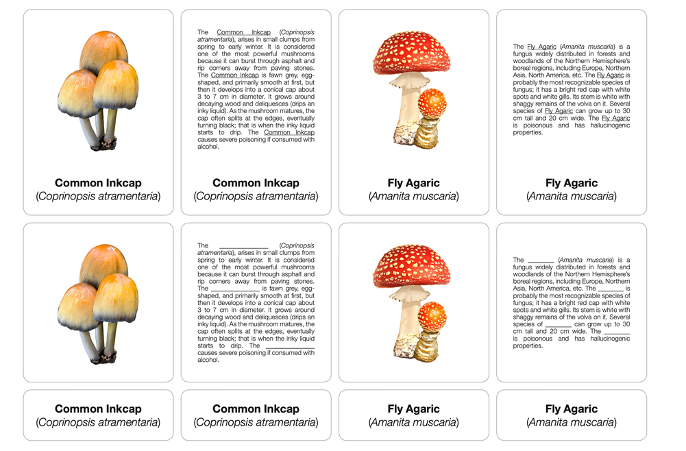 Types of Mushrooms Nomenclature Cards (Printed) (6-9)