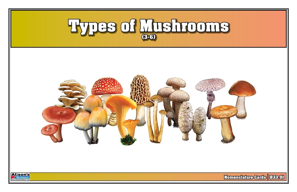 Types of Mushrooms Puzzle with Nomenclature Cards (3-6) (Printed)