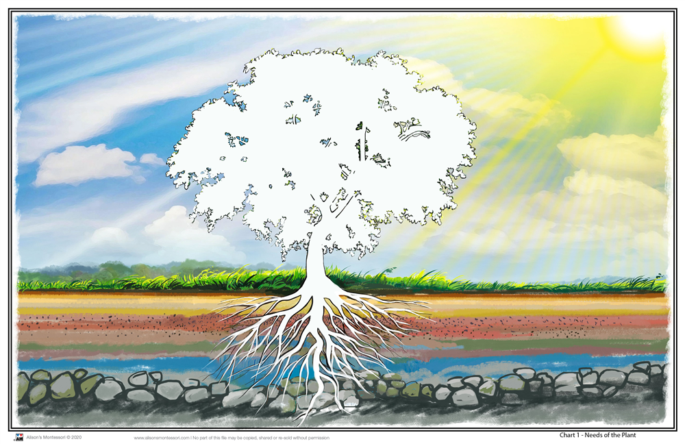 Botany Impressionistic Charts