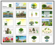 Botany Impressionistic Charts - Large