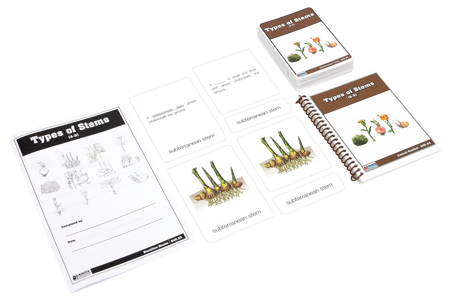 Types of Stems Nomenclature Cards 6-9 (Printed)
