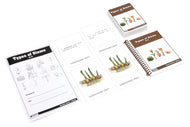 Types of Stems Nomenclature Cards 6-9 (Printed)