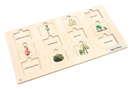 Types of Stems Puzzle with Nomenclature Cards 3-6 (Printed)