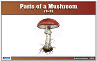 Parts of a Mushroom Nomenclature Cards (6-9)