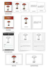 Parts of a Mushroom Nomenclature Cards (6-9)