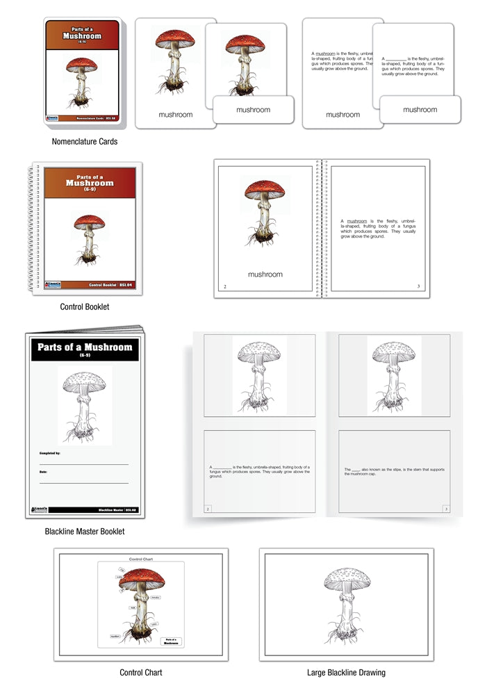 Parts of a Mushroom Nomenclature Cards (6-9)