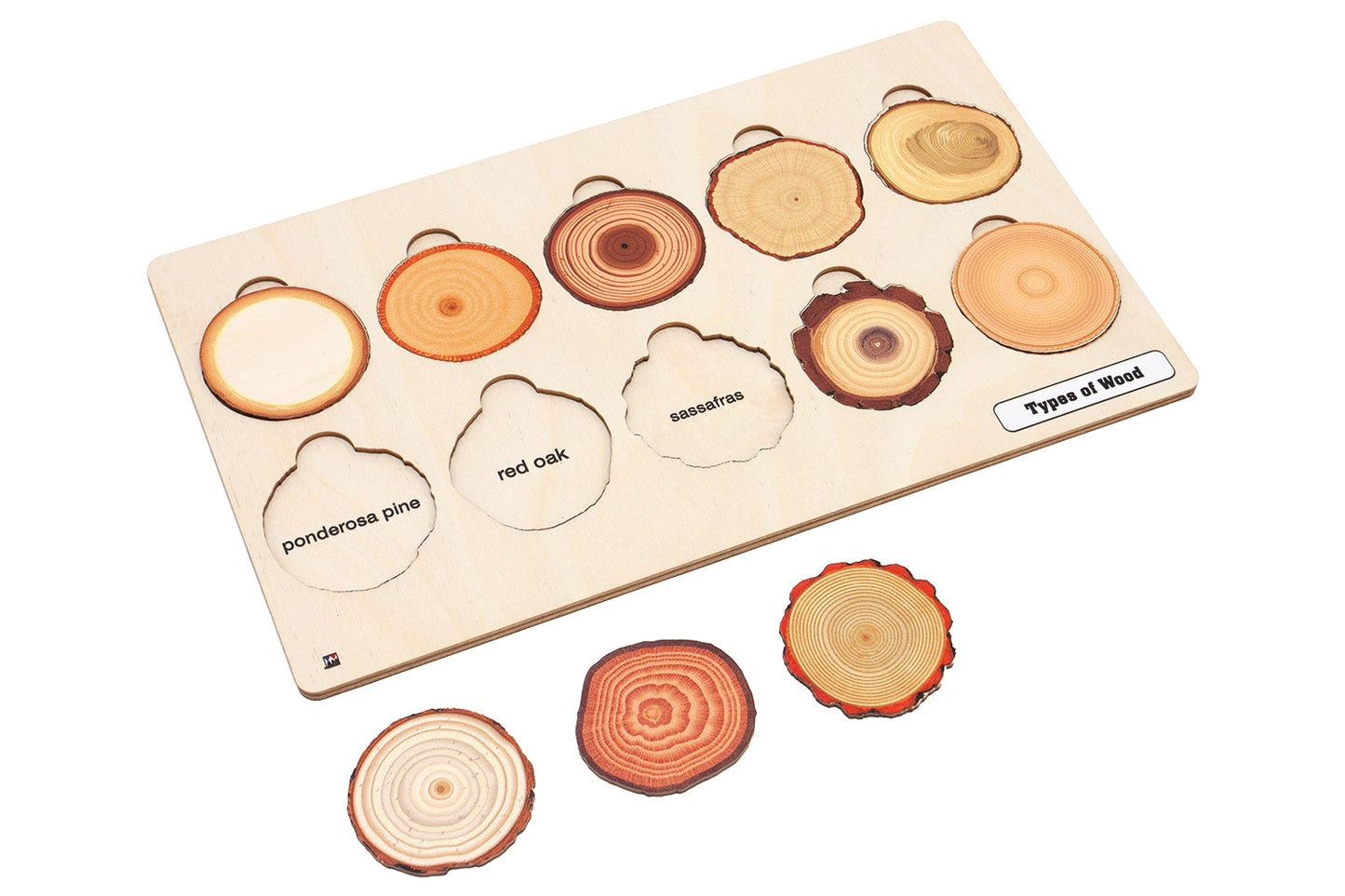 Types of Wood Puzzle with Nomenclature Cards 3-6 (Printed)