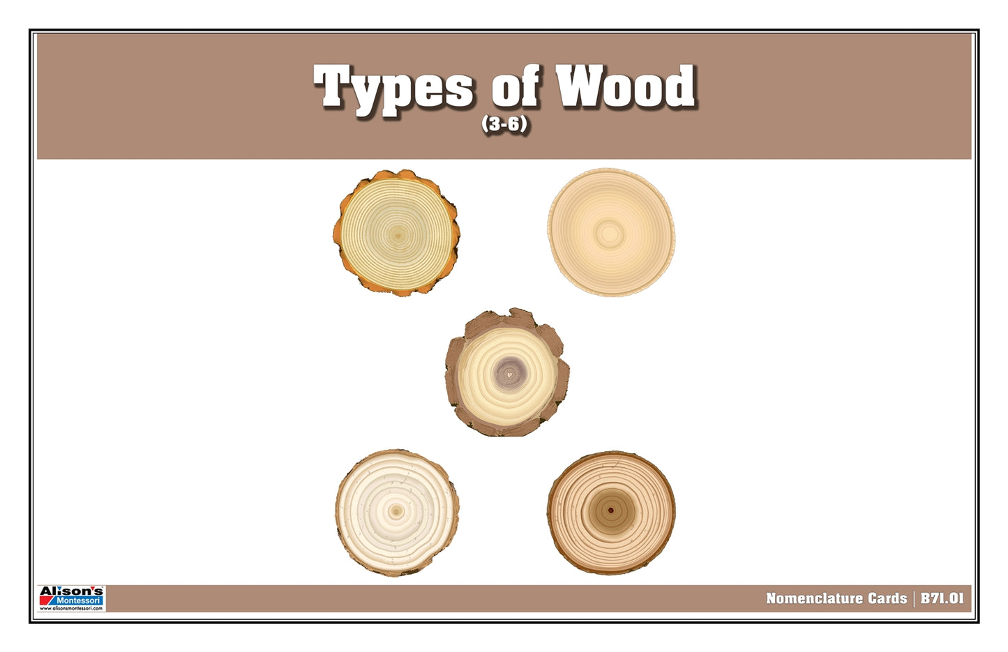 Types of Wood Puzzle with Nomenclature Cards 3-6 (Printed)