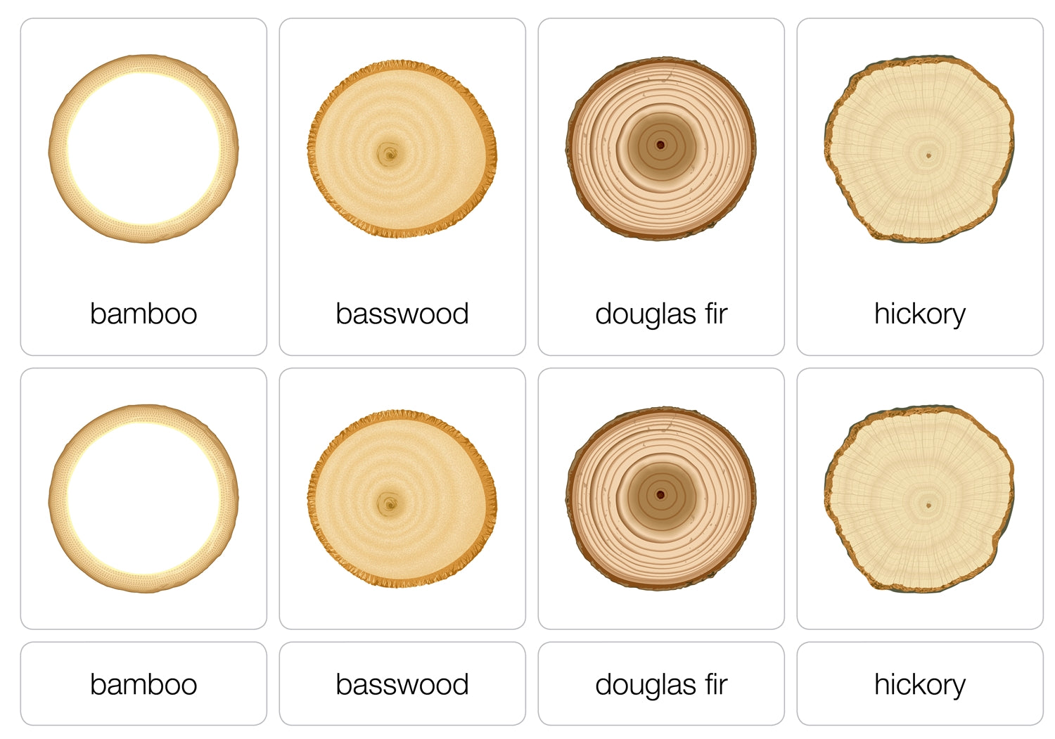 Types of Wood Puzzle with Nomenclature Cards 3-6 (Printed)