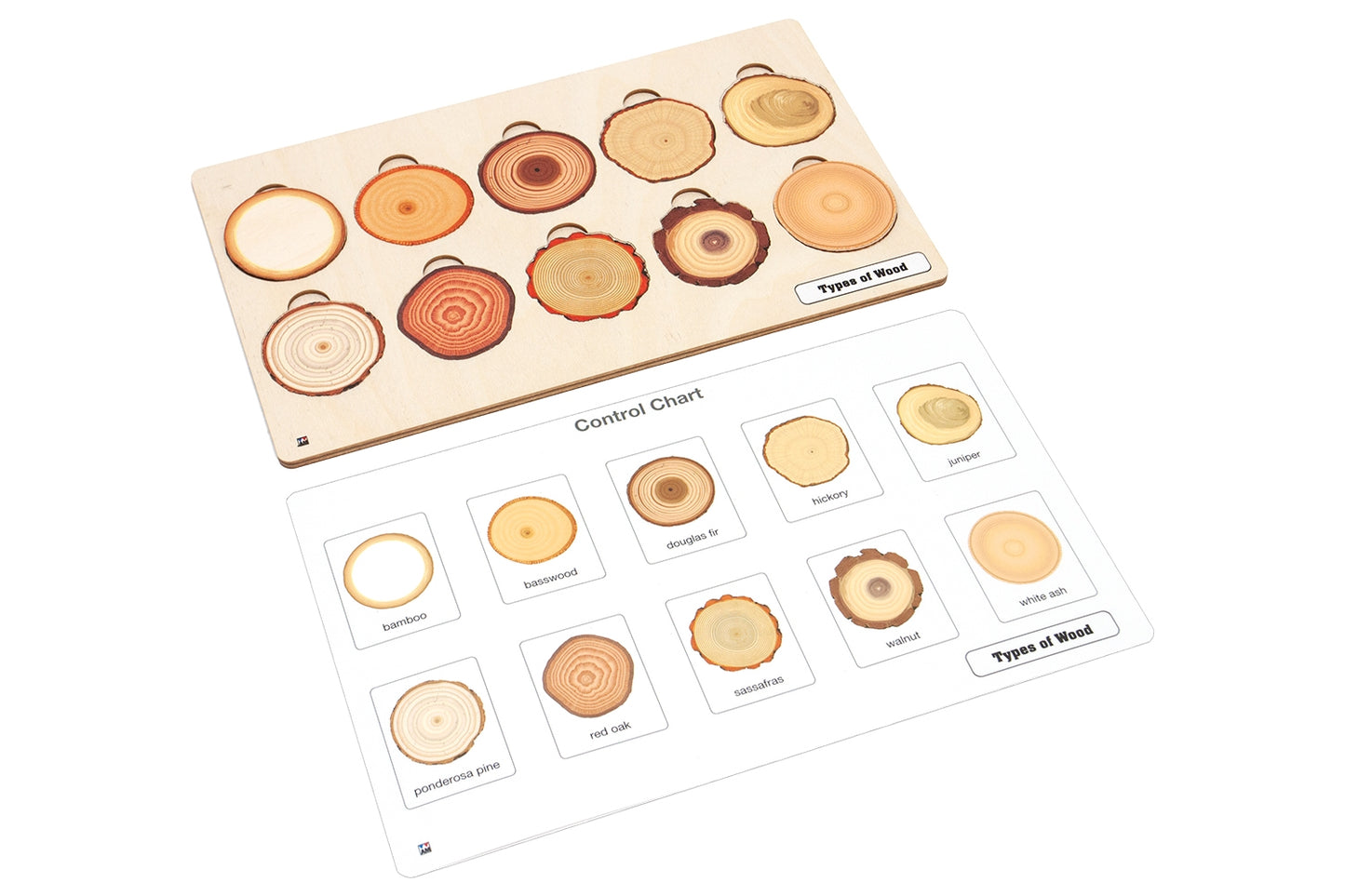Types of Wood Puzzle with Nomenclature Cards 6-9 (Printed)
