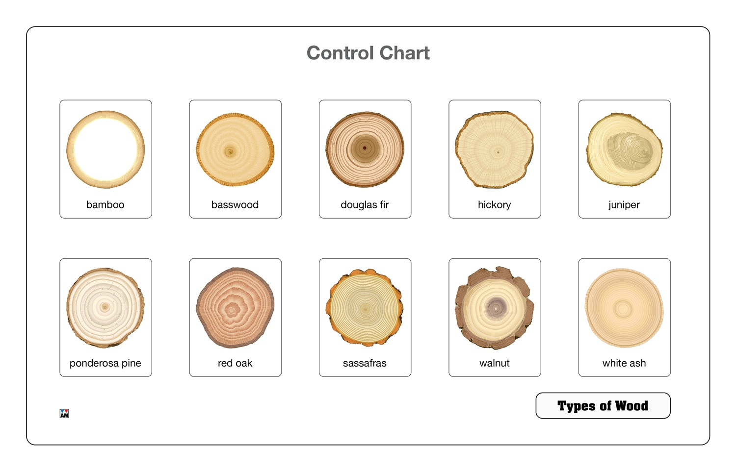 Types of Wood Puzzle with Nomenclature Cards 6-9 (Printed)