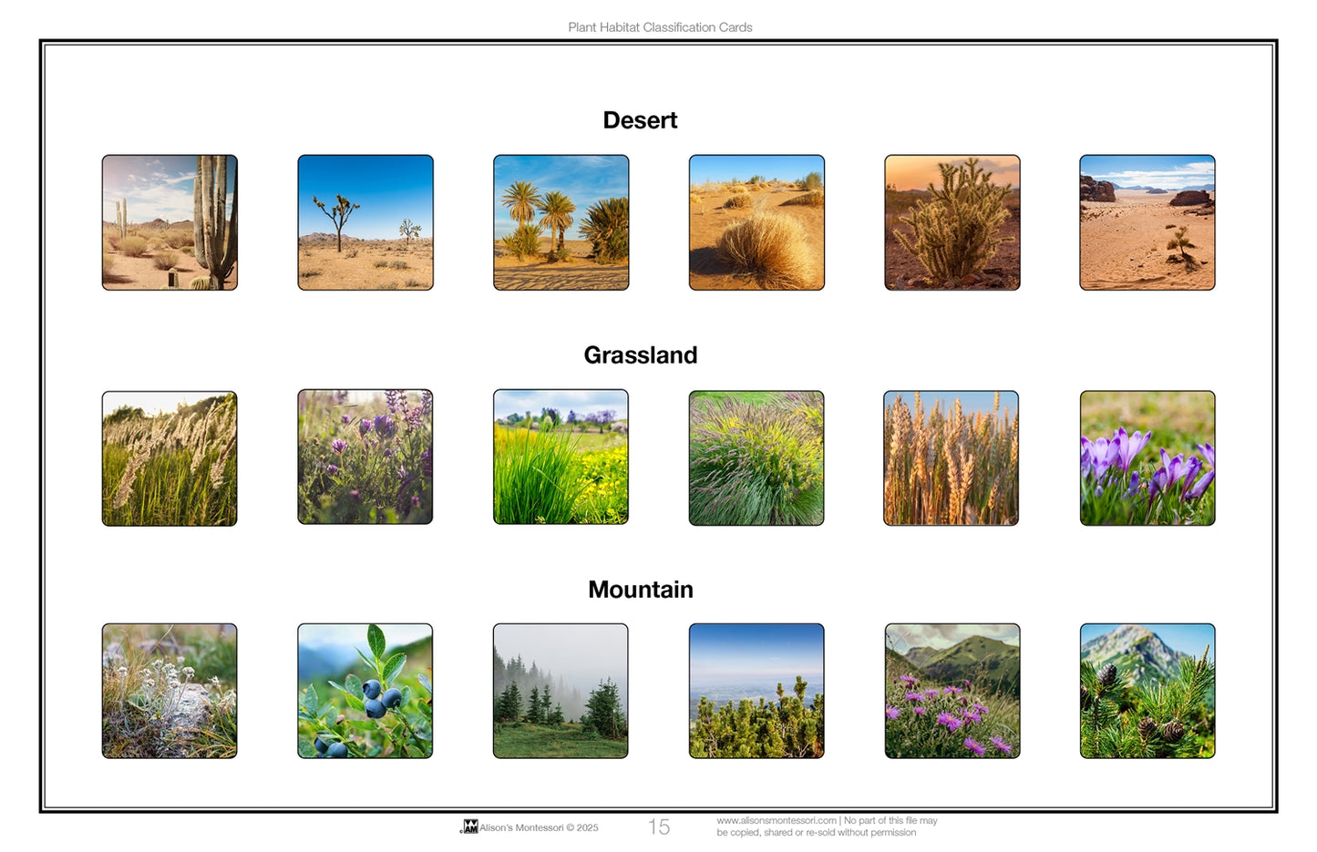 Plant Habitat Classification Cards