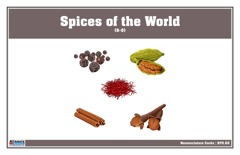 Spices of the World Nomenclature Cards (6-9) (Printed)