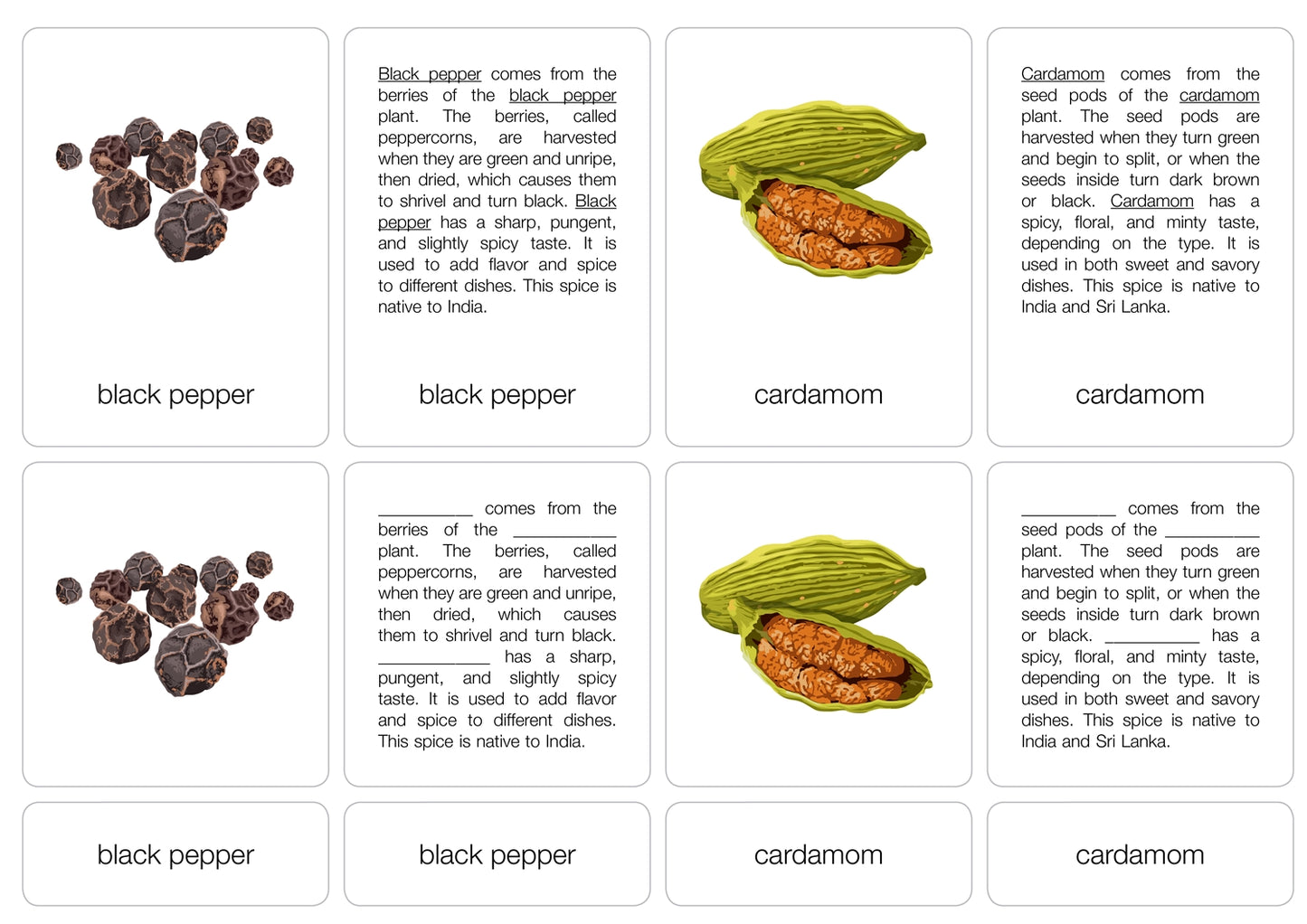 Spices of the World Nomenclature Cards (6-9) (Printed)