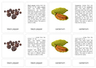 Spices of the World Nomenclature Cards (6-9) (Printed)