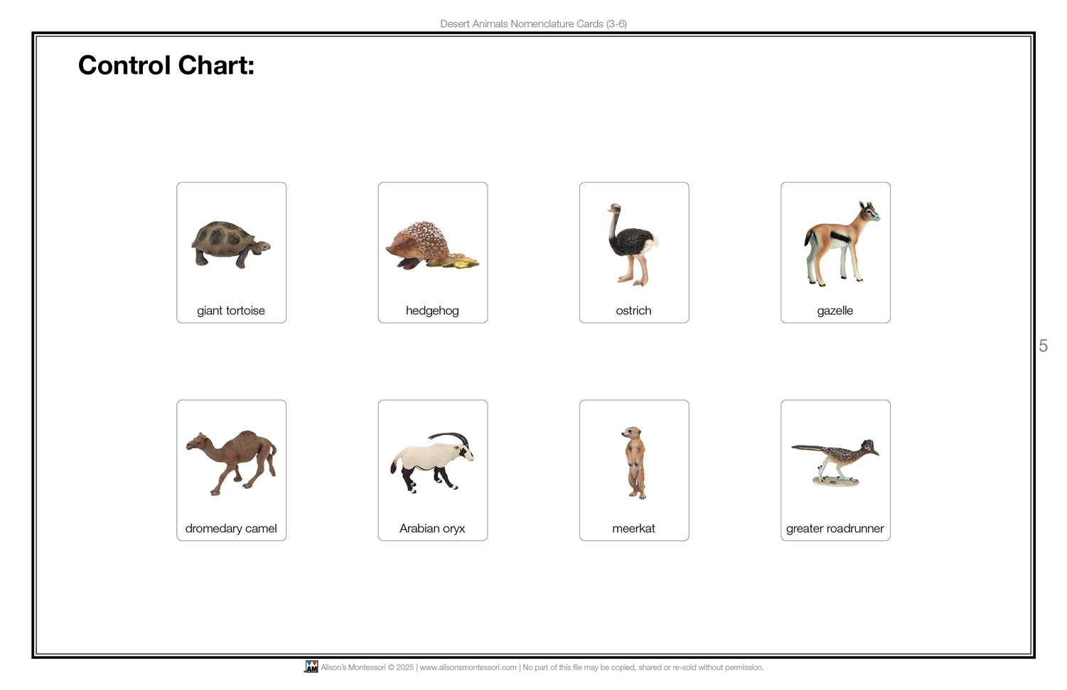 Desert Animals Nomenclature Cards