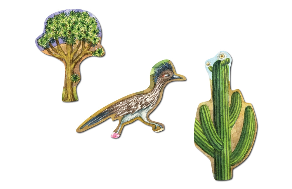 Biome Charts - Subtropical Desert Biome