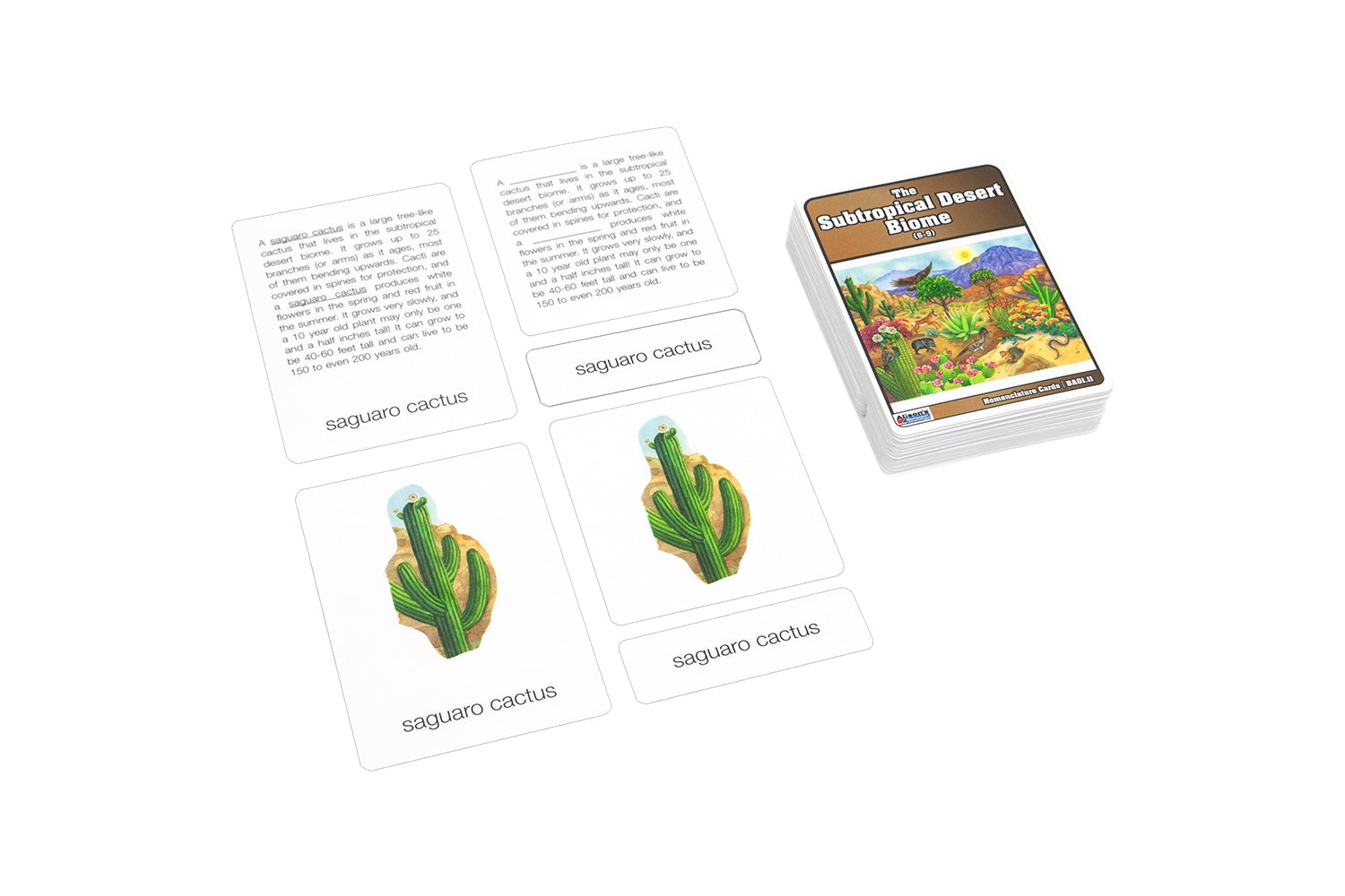 Biome Charts - Subtropical Desert Biome