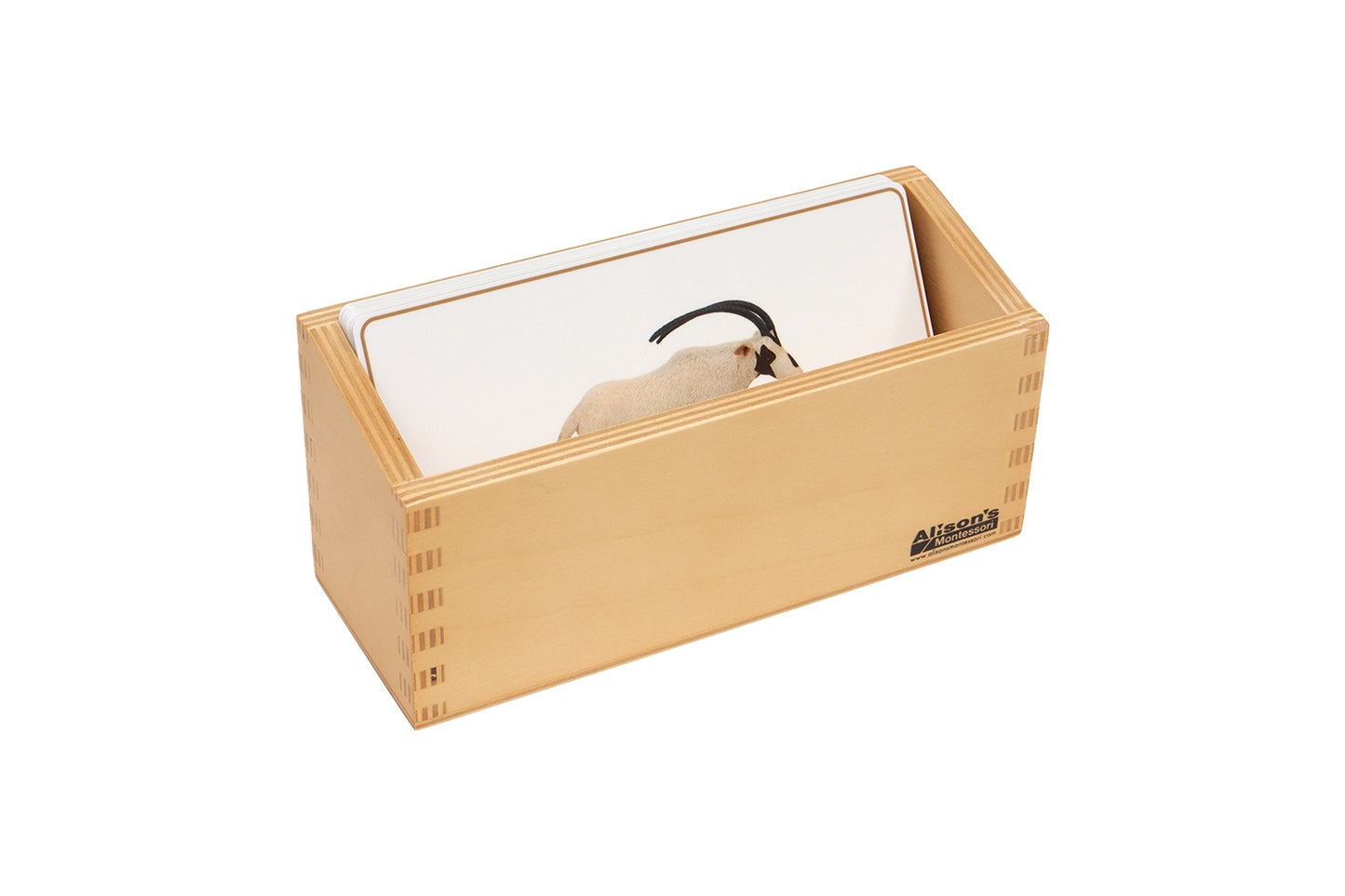 Desert Animals Matching Cards