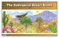 Subtropical Desert Biome Nomenclature Cards (3-6) (Printed)