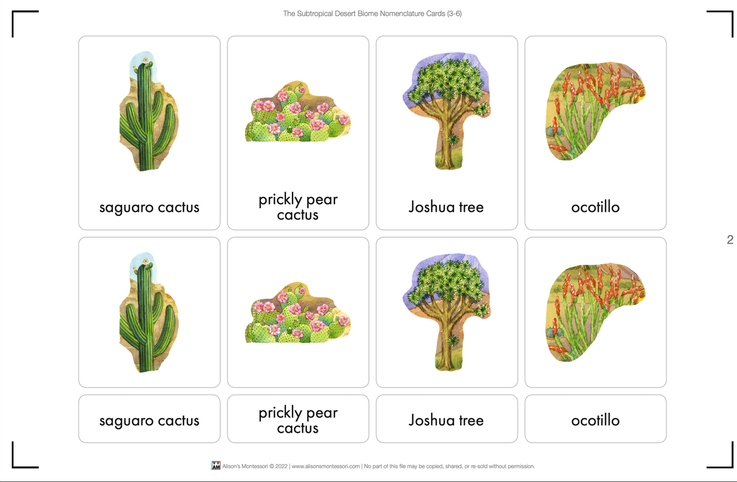 Subtropical Desert Biome Nomenclature Cards (3-6) (Printed)