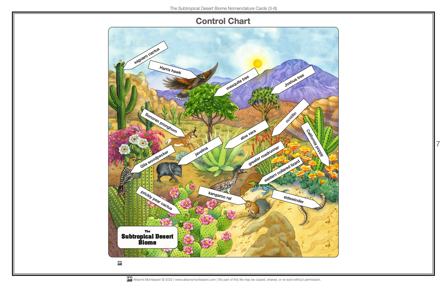 Subtropical Desert Biome Nomenclature Cards (3-6) (Printed)