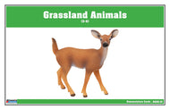 Grassland Animals Nomenclature Cards