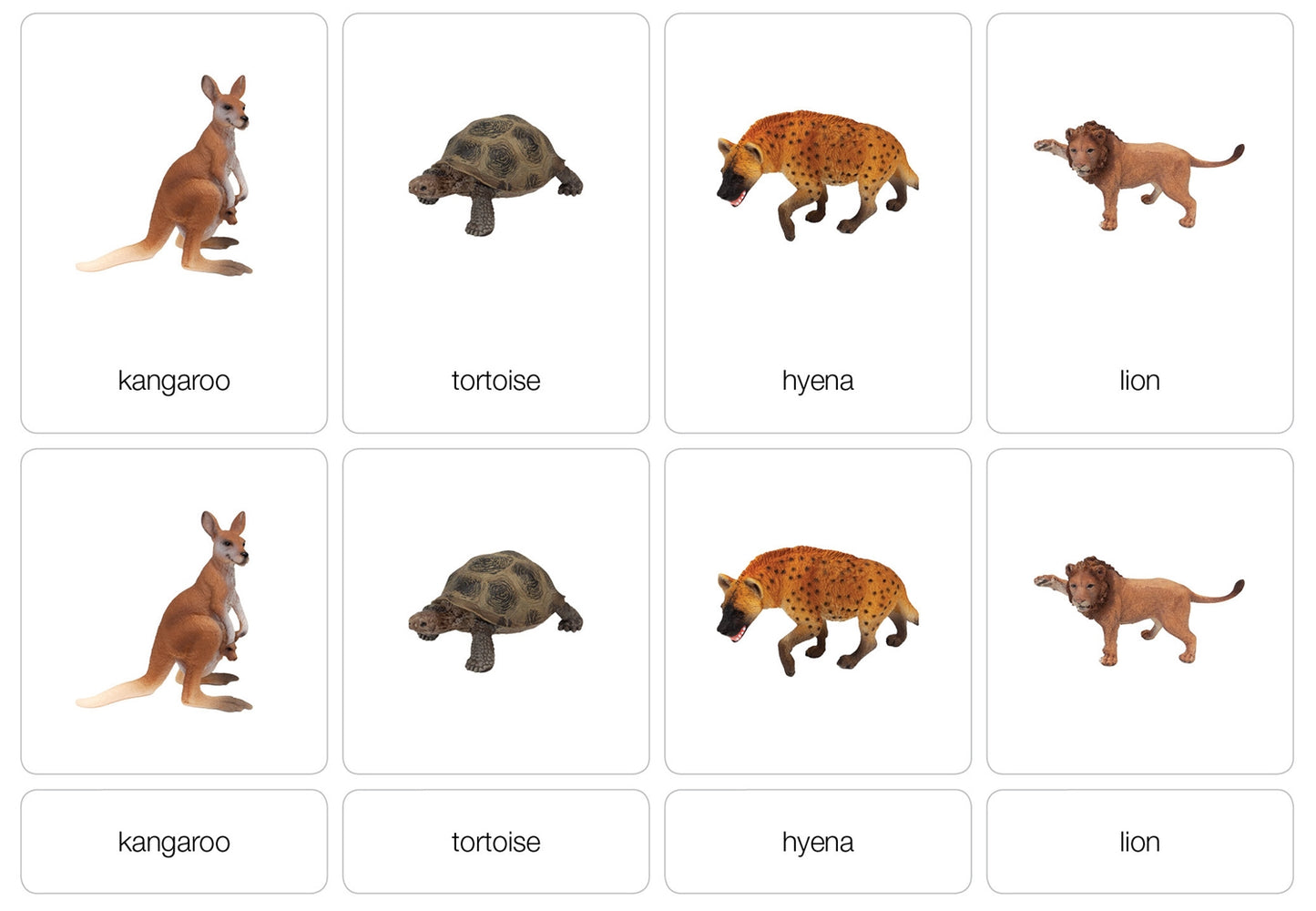 Grassland Animals Nomenclature Cards