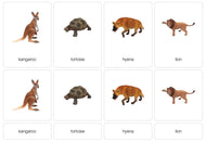 Grassland Animals Nomenclature Cards