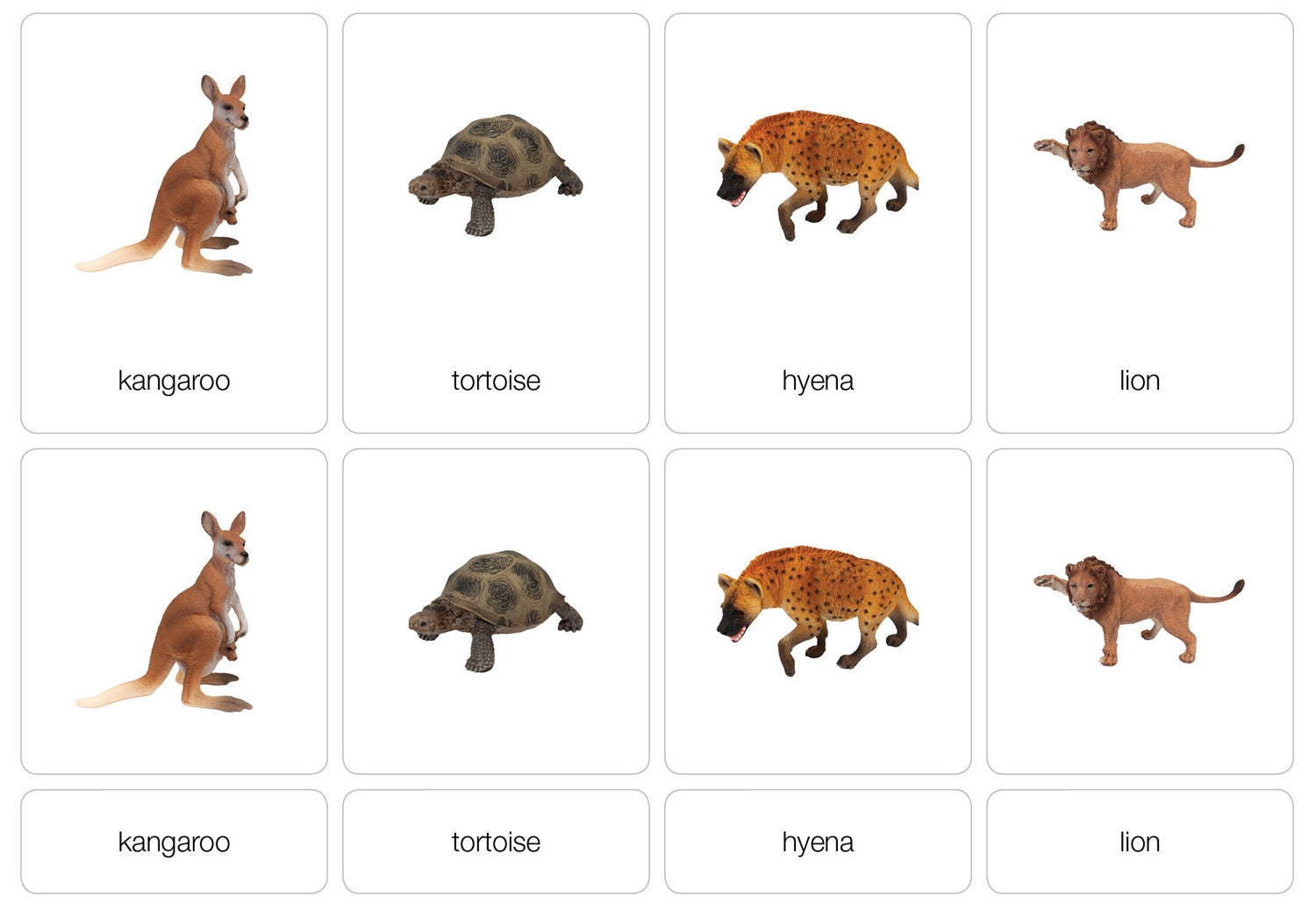 Grassland Animals Nomenclature Cards
