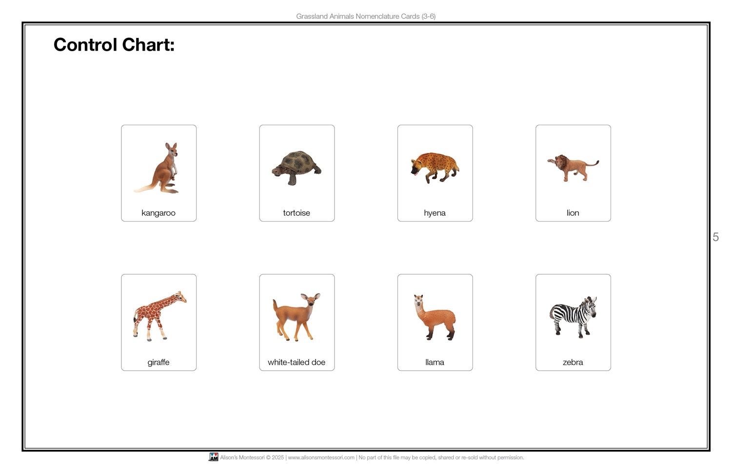 Grassland Animals Nomenclature Cards