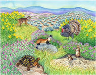 Biome Charts - Temperate Grassland Biome