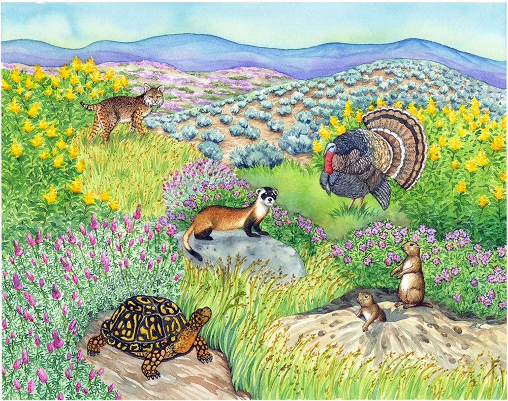 Biome Charts - Temperate Grassland Biome