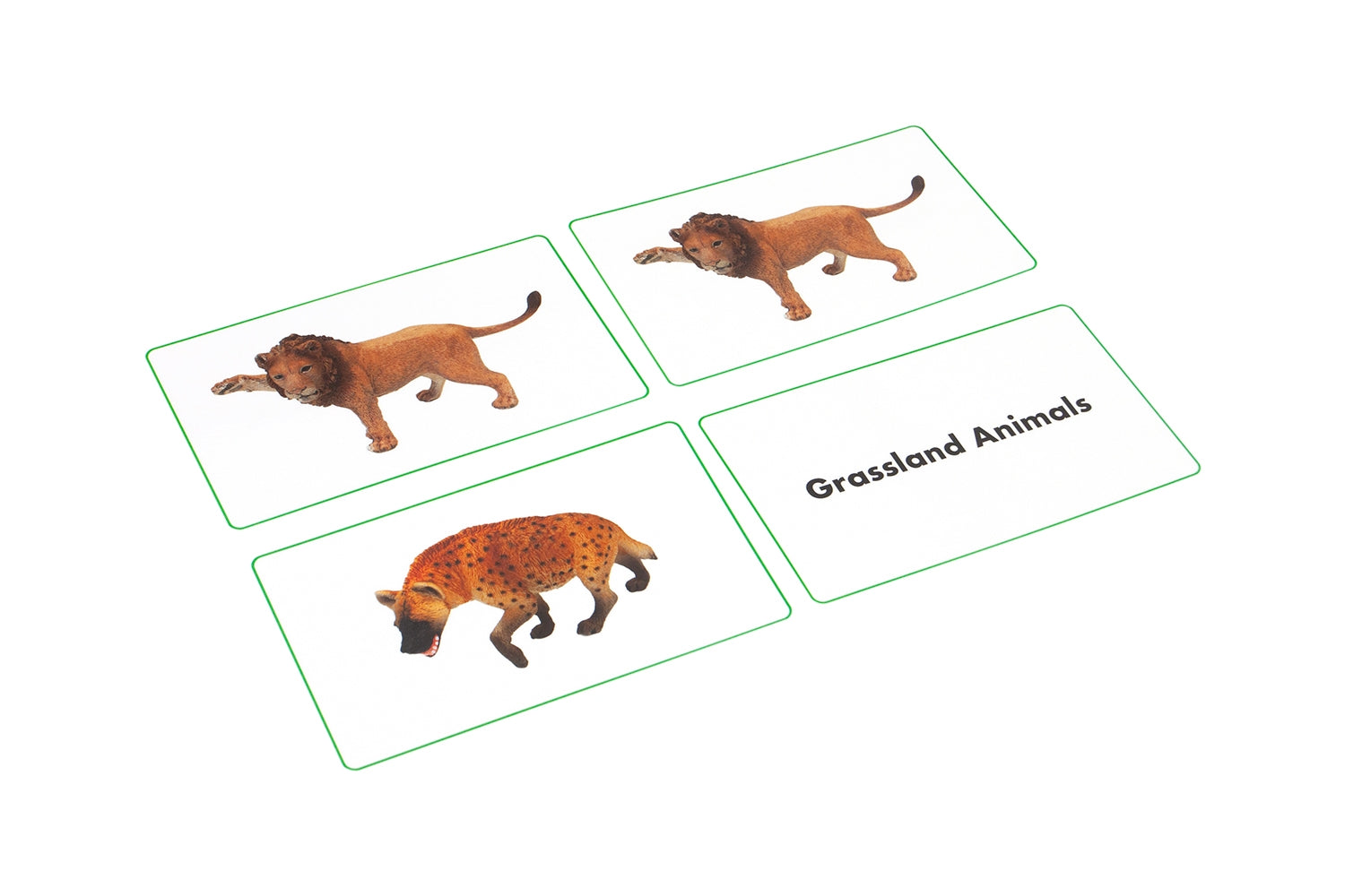 Grassland Animals Matching Cards