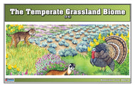 Temperate Grassland Biome Nomenclature Cards (3-6) (Printed)