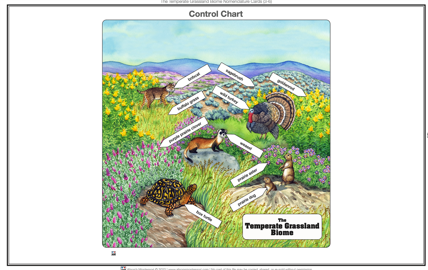 Temperate Grassland Biome Nomenclature Cards (3-6) (Printed)