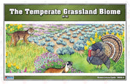 Temperate Grassland Biome Nomenclature Cards (6-9) (Printed)