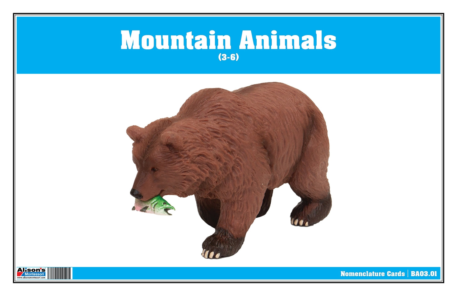 Mountain Animals Nomenclature Cards