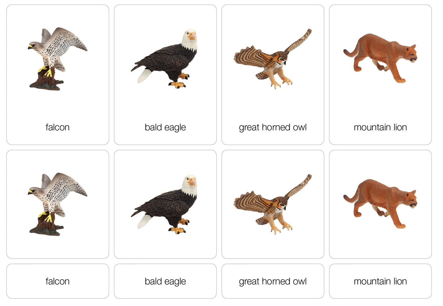 Mountain Animals Nomenclature Cards