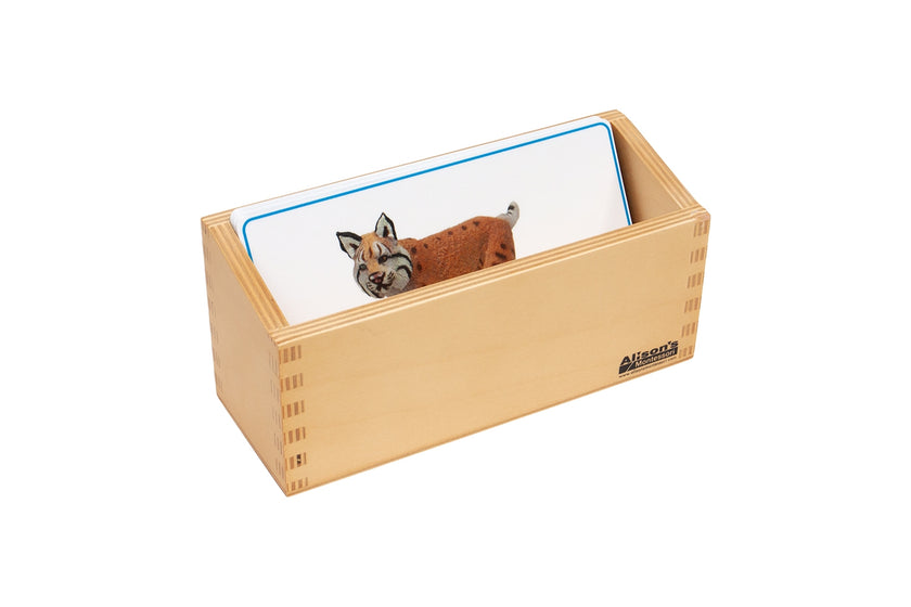 Mountain Animals Matching Cards