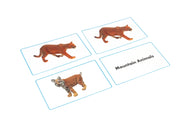 Mountain Animals Matching Cards