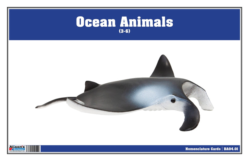 Ocean Animals Nomenclature Cards