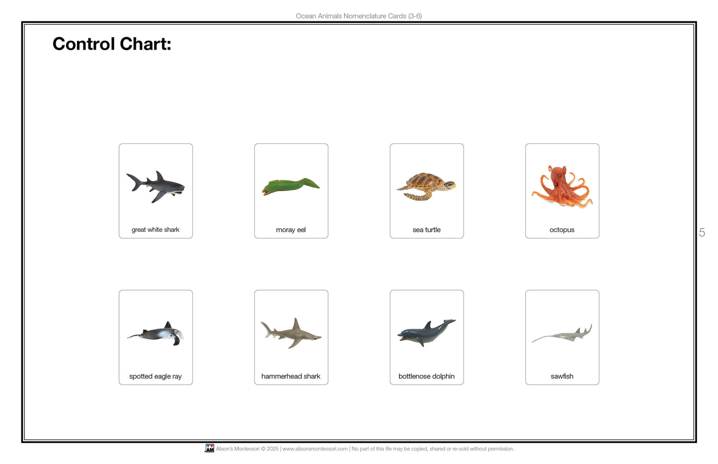 Ocean Animals Nomenclature Cards