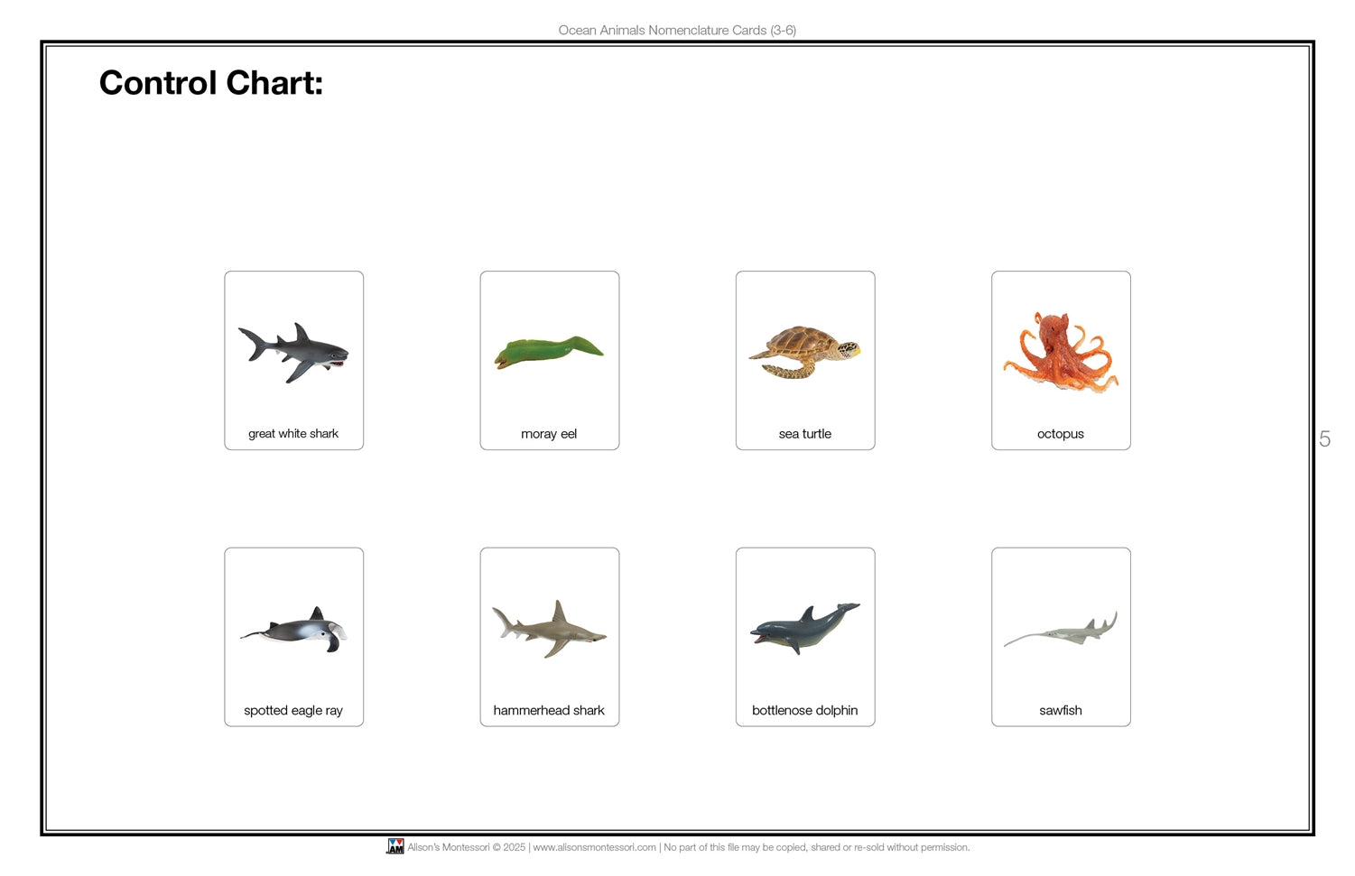Ocean Animals Nomenclature Cards