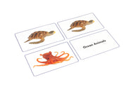 Ocean Animals Matching Cards