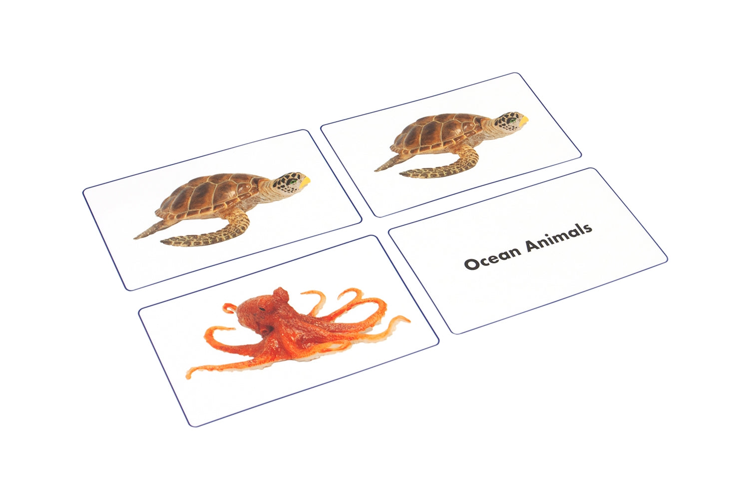 Ocean Animals Matching Cards