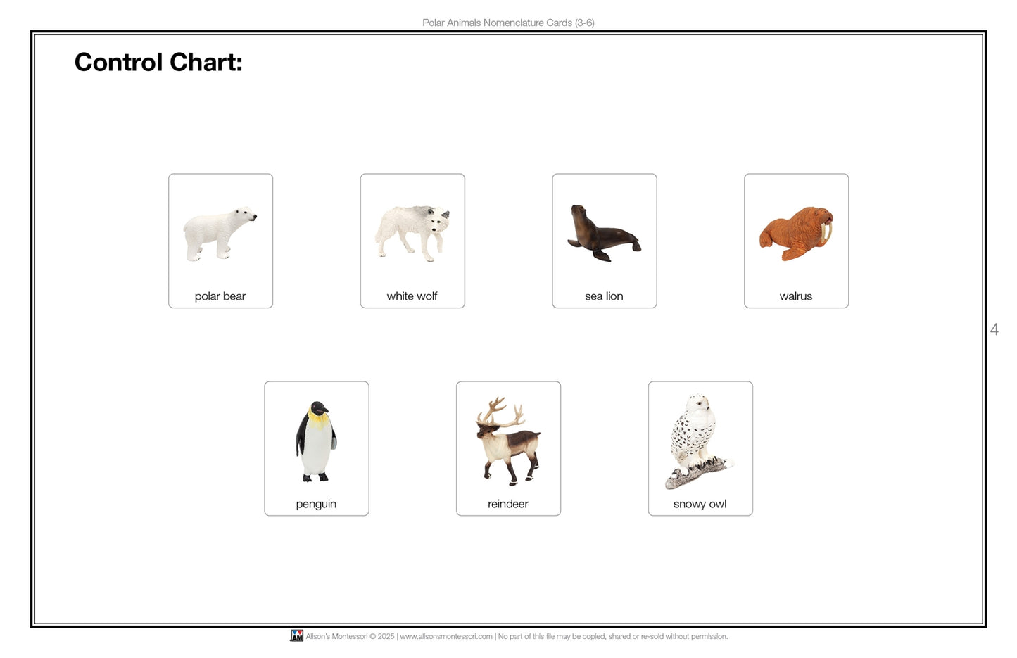 Polar Region Animals Nomenclature Cards