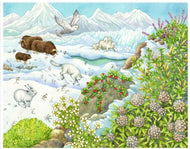 Biome Charts - Polar Biome