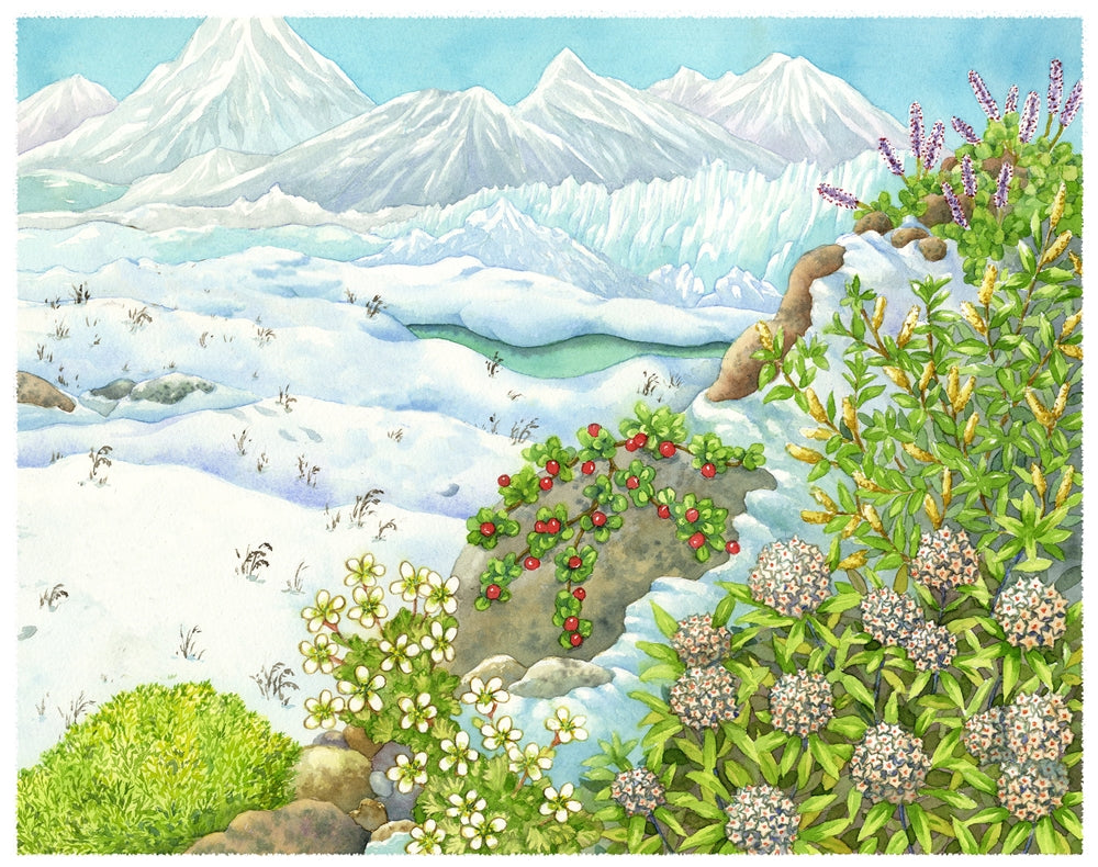 Biome Charts - Polar Biome