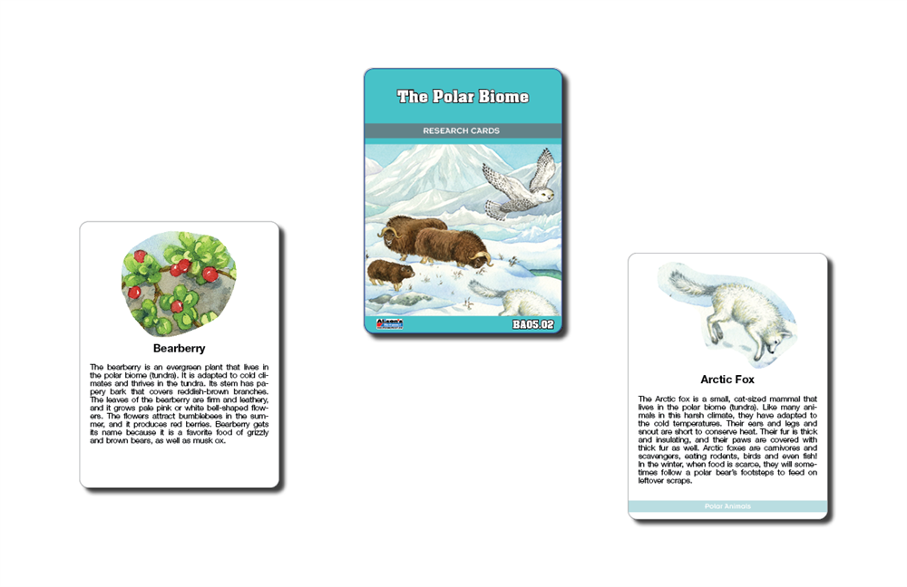 Biome Charts - Polar Biome